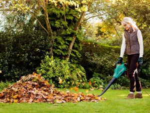 aspirateur souffleur pour jardin Bosch ALS 30 test